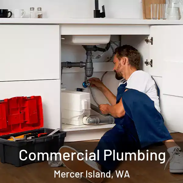 Commercial Plumbing Mercer Island, WA