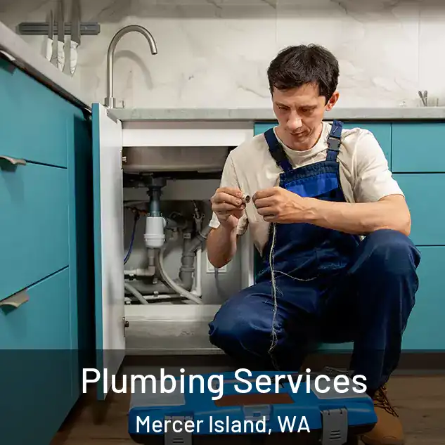 Plumbing Services Mercer Island, WA