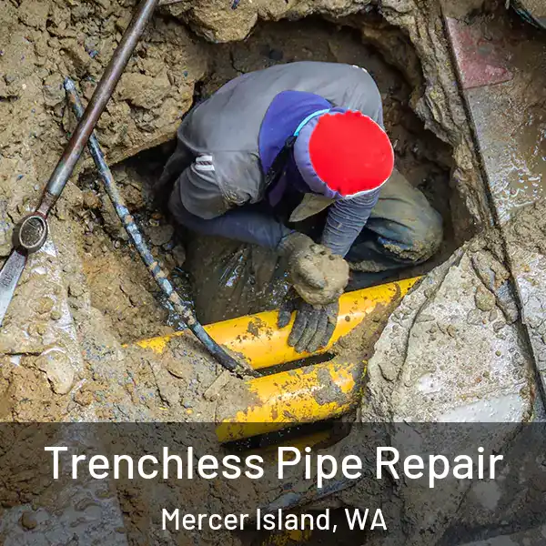  Trenchless Pipe Repair Mercer Island, WA